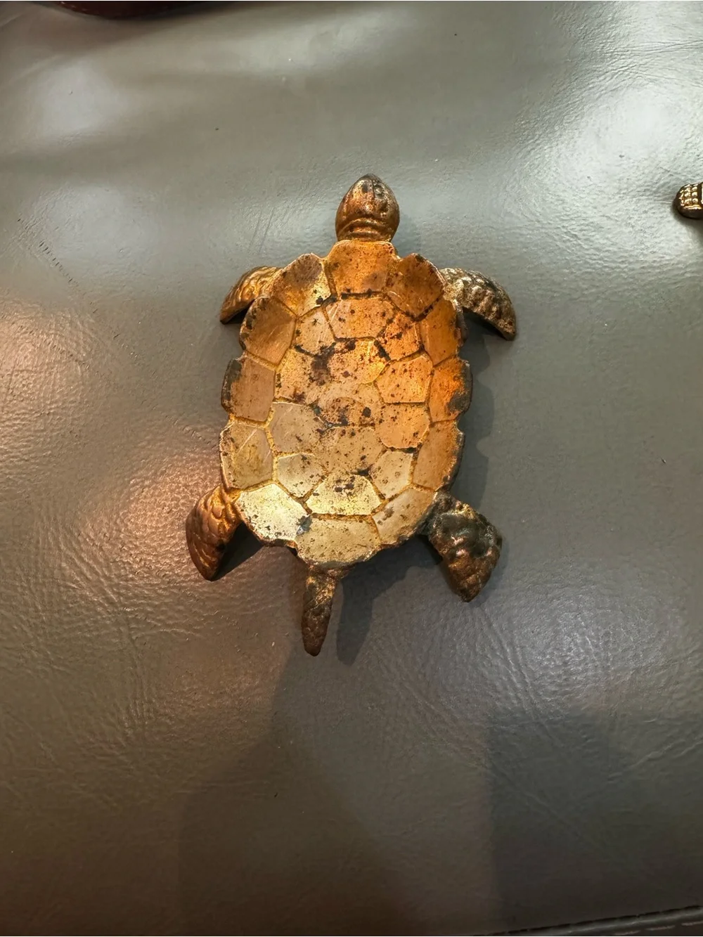 Source Unknown cast turtle